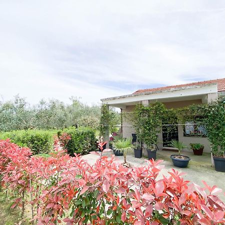 Olive Apartment ポドゴリツァ エクステリア 写真