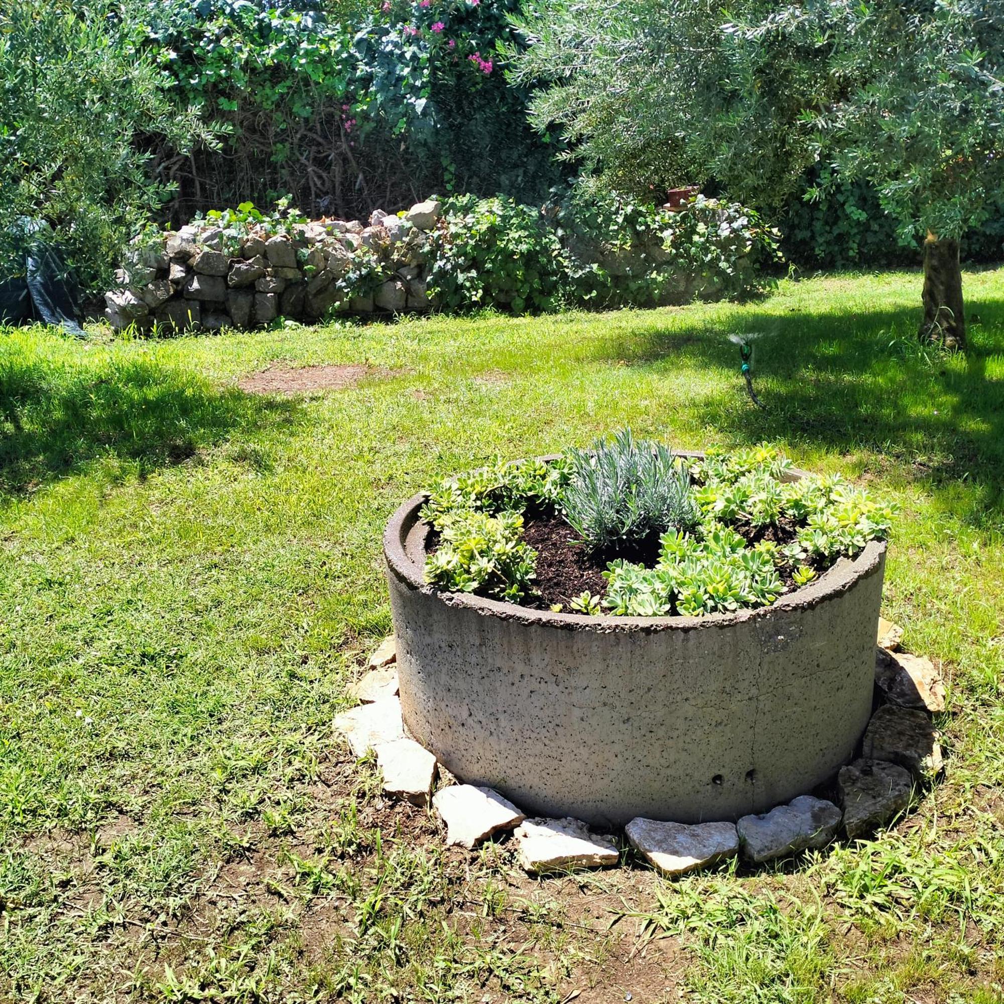 Olive Apartment ポドゴリツァ エクステリア 写真
