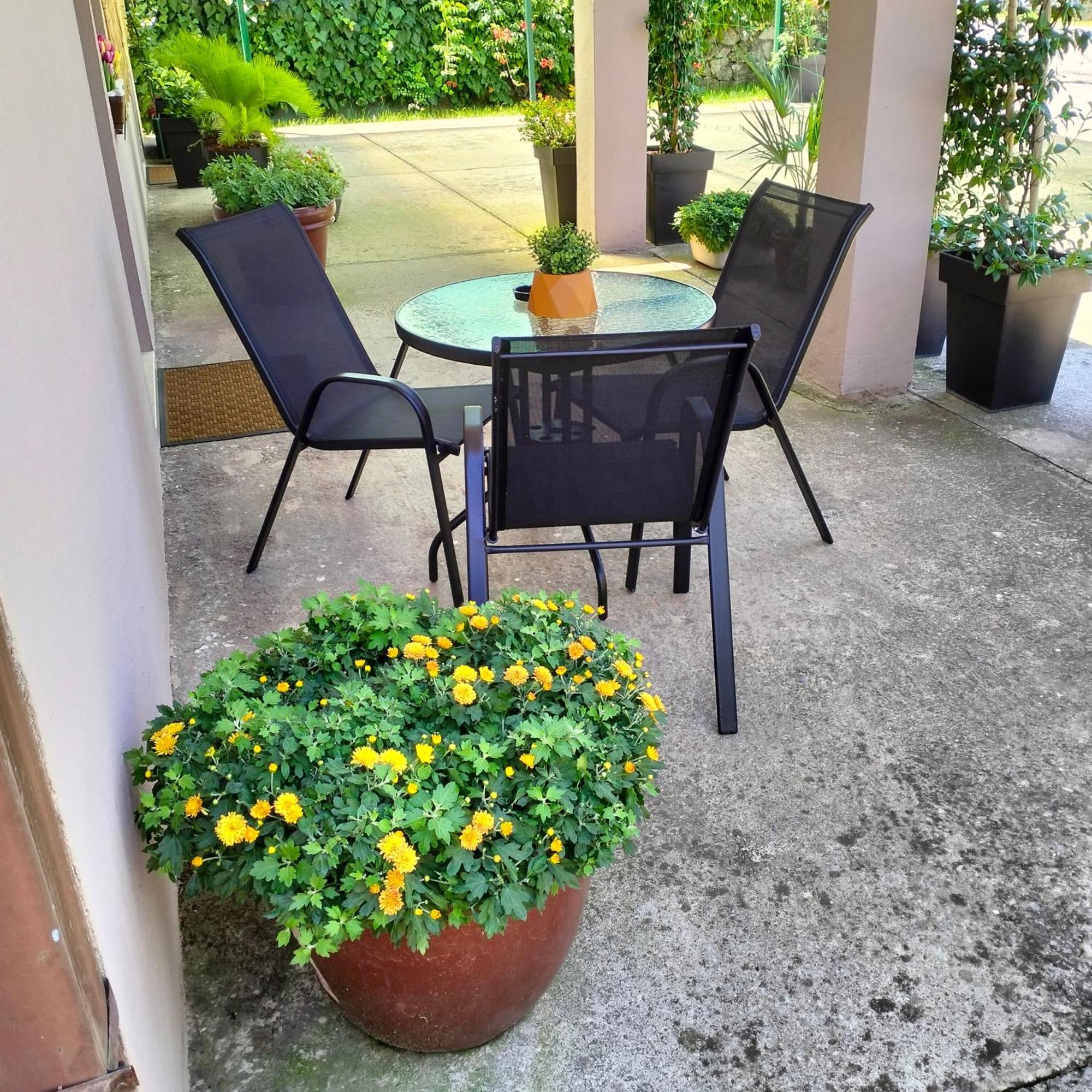 Olive Apartment ポドゴリツァ エクステリア 写真