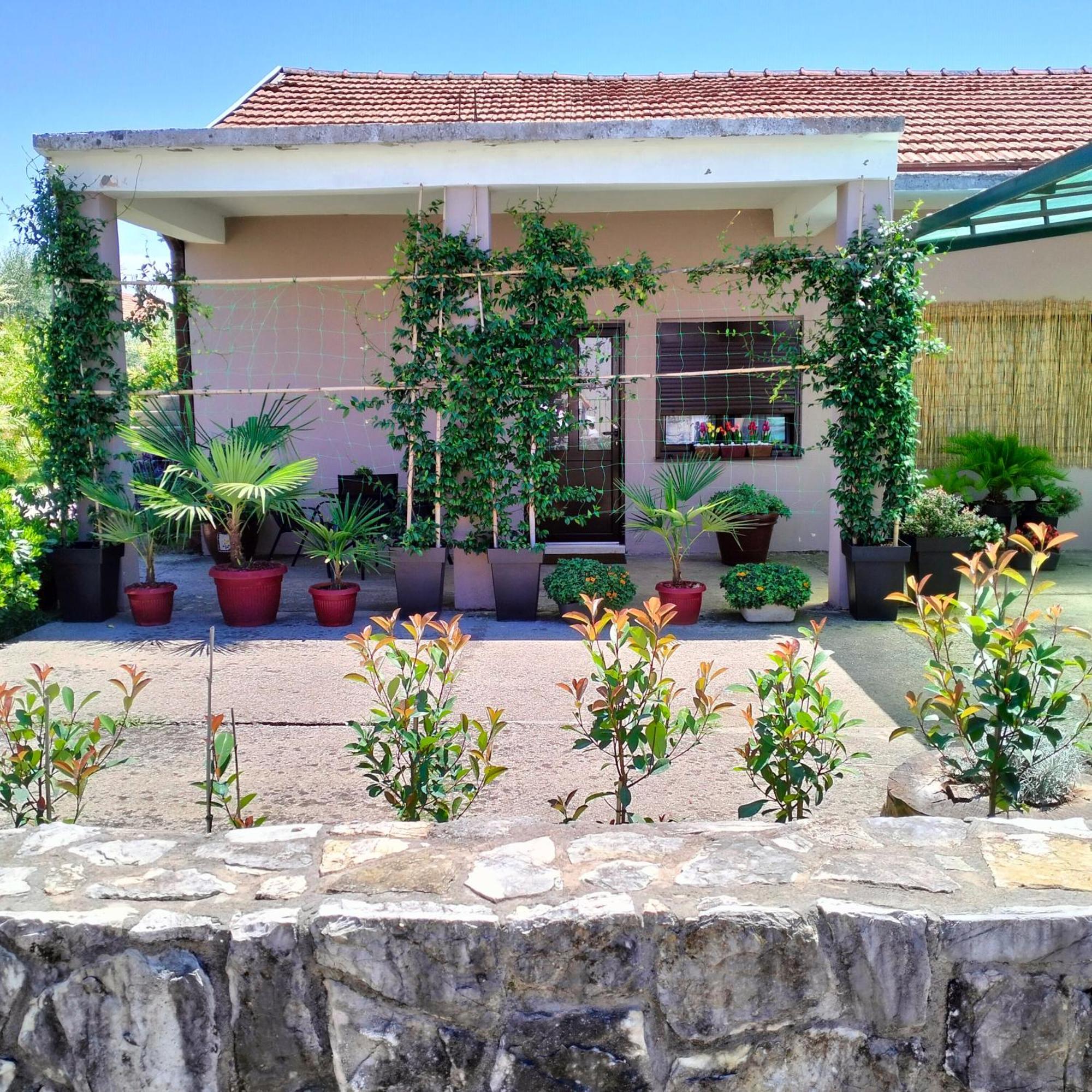 Olive Apartment ポドゴリツァ エクステリア 写真