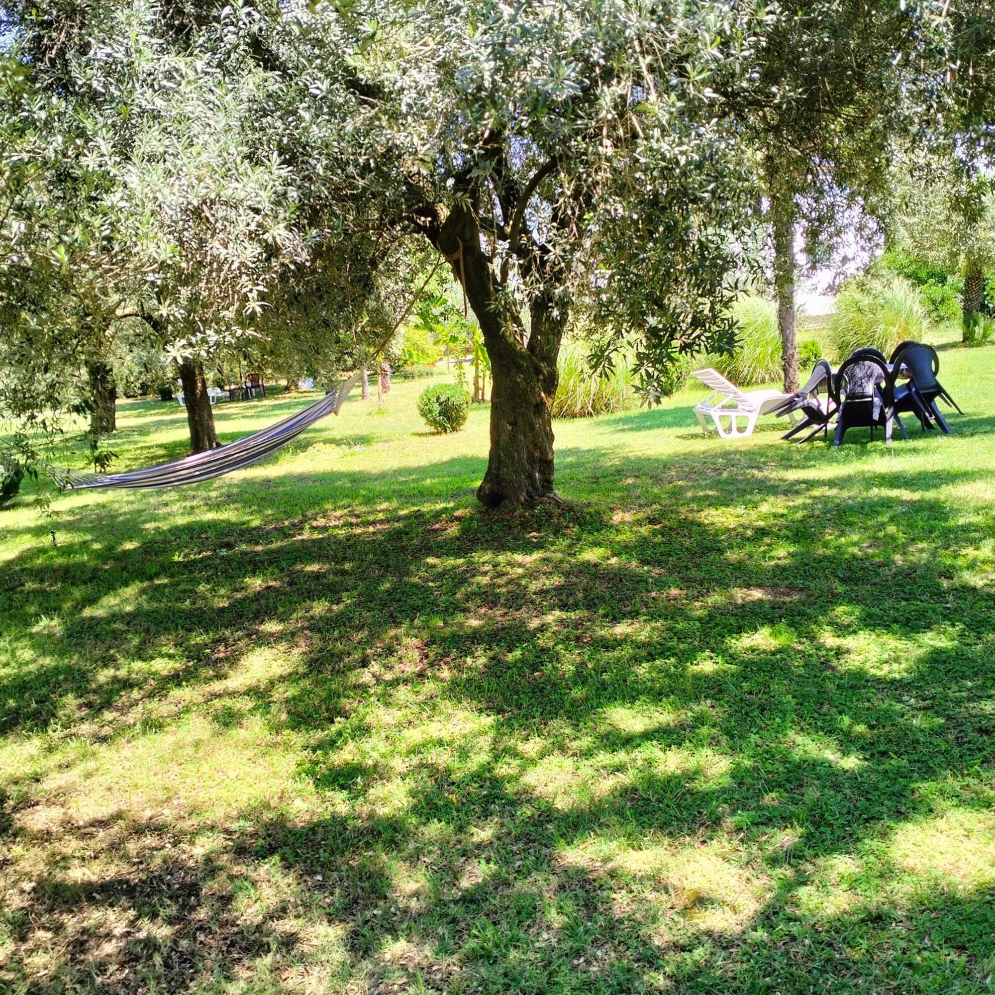 Olive Apartment ポドゴリツァ エクステリア 写真