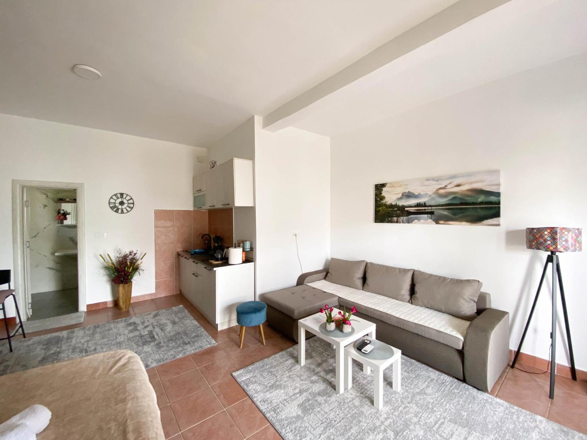 Olive Apartment ポドゴリツァ エクステリア 写真