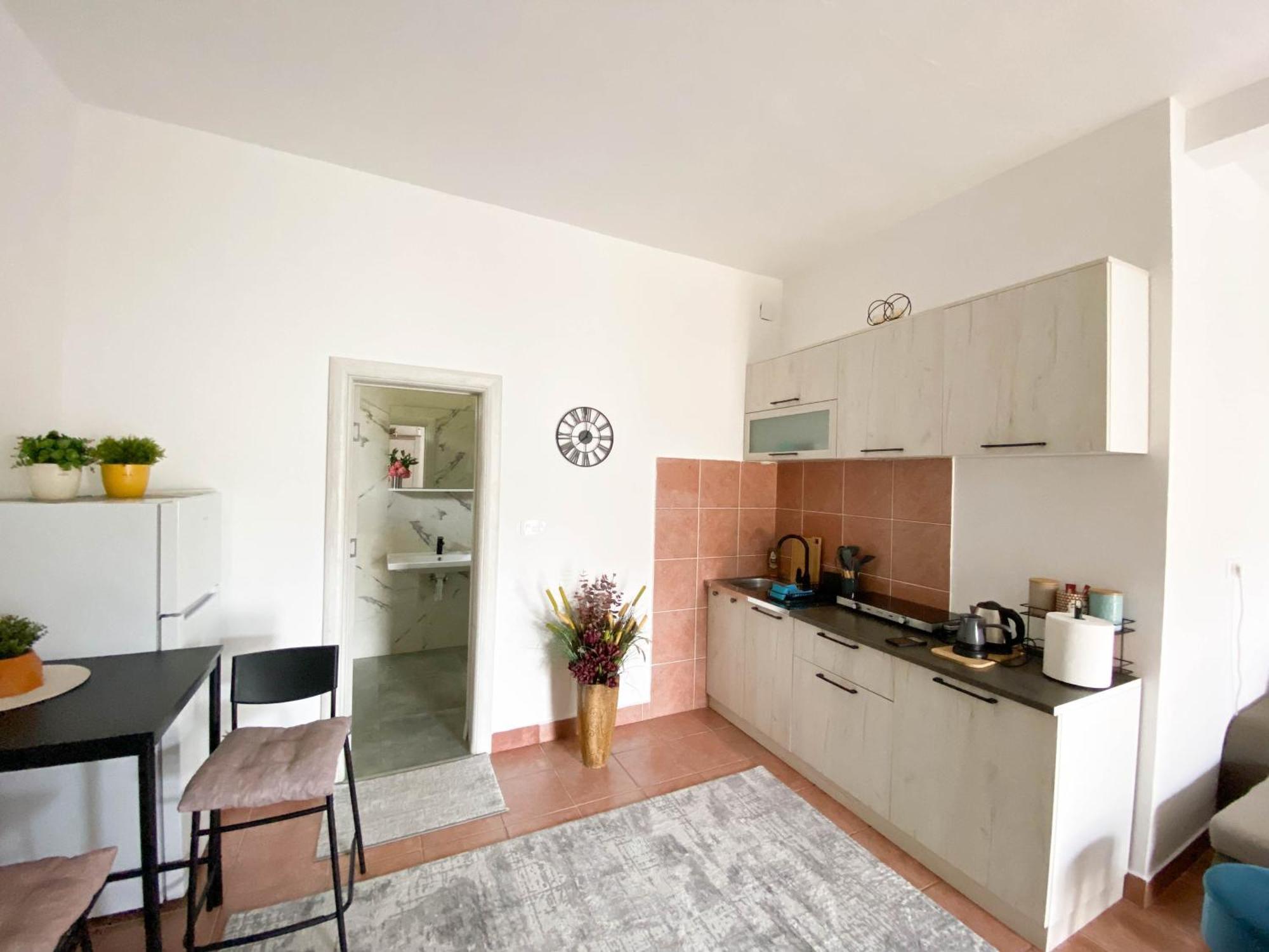 Olive Apartment ポドゴリツァ エクステリア 写真